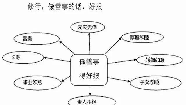 荷花定律是什么意思(荷花定律告诉我们的人生哲理)